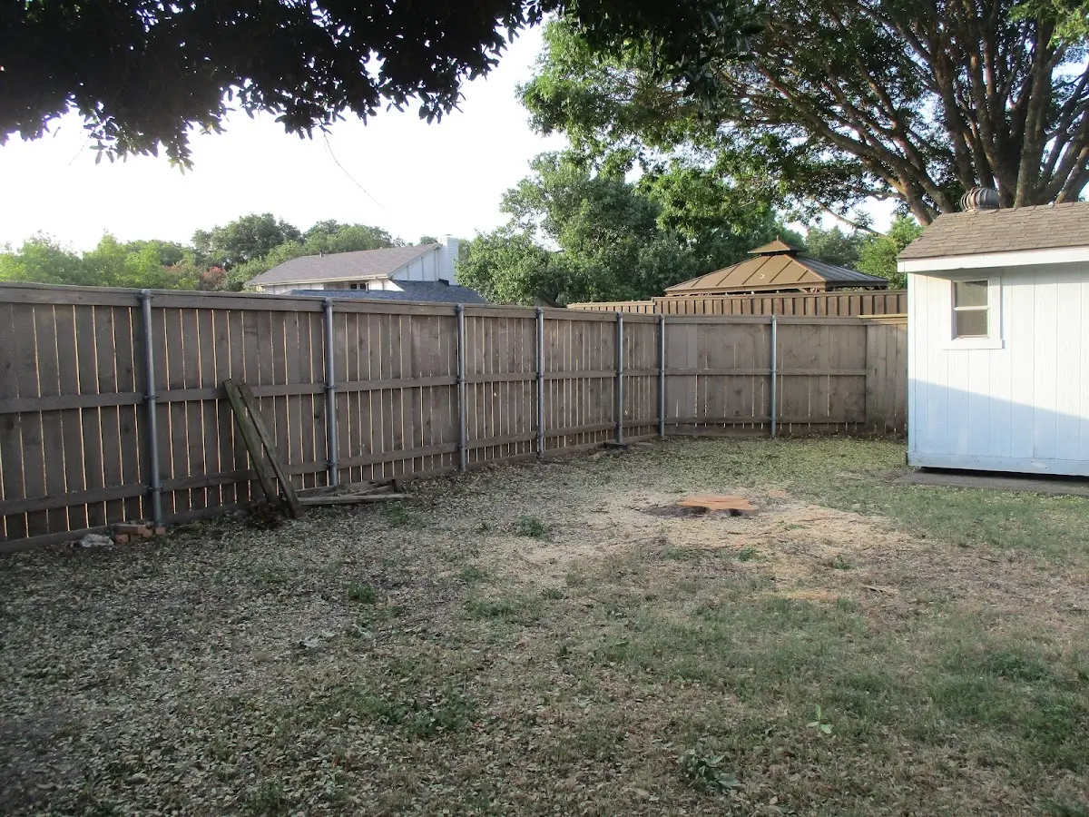 Cleared yard after professional tree removal in Sproul